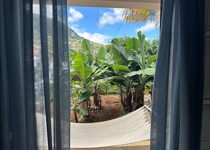 House Silvia & Nuno's *