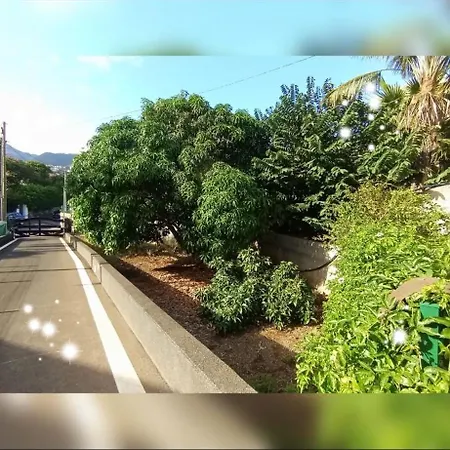 House Silvia & Nuno's