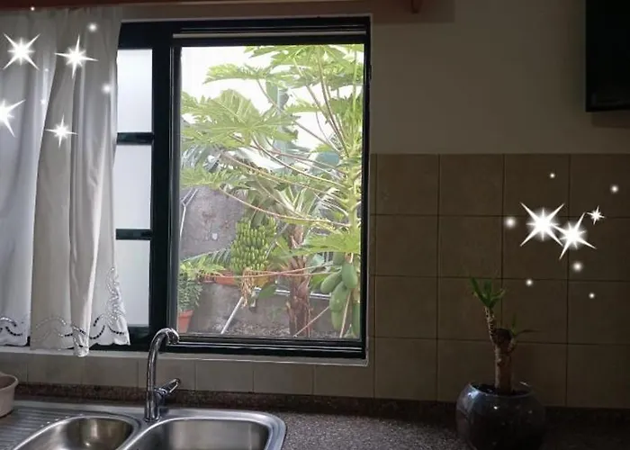 House Silvia & Nuno's *