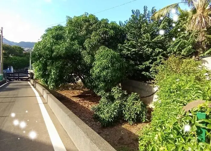 House Silvia & Nuno's